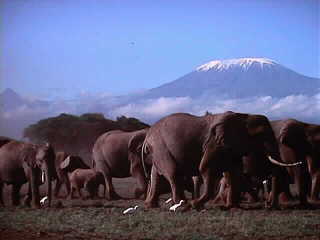 Kili&Ele