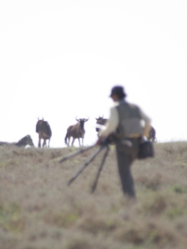 Cameraman