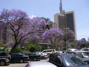 Kenyatta Avenue