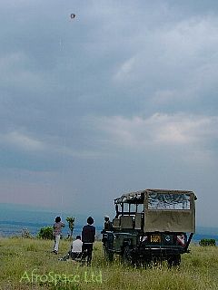 Kite-Masai Mara