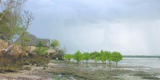 Mwazaro