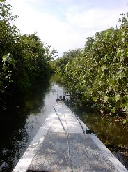 NarrowRiver